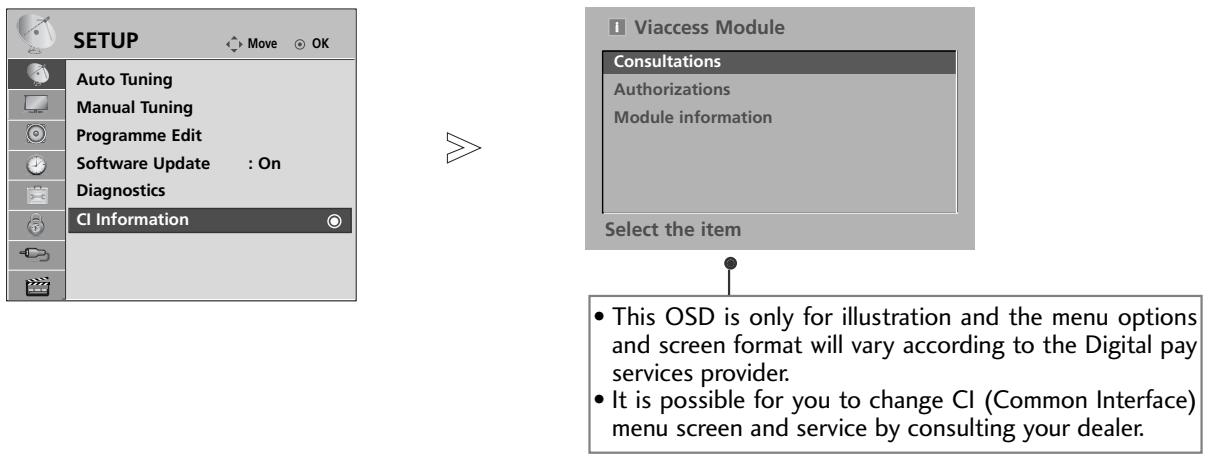 LG 42PQ3000 - CI [COMMON INTERFACE] INFORMATION - 1