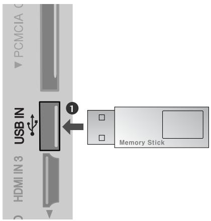 LG 42PQ3000 - USB SETUP - 1