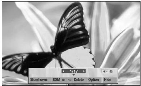 LG 19LU5000 - How to view photo - 5