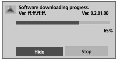 LG 19LU5000 - \* When setting "Software Update" - 2