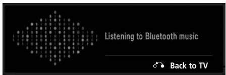 LG 19LU5000 - LISTENING TO THE MUSICS FROM EXTERNAL BLUETOOTH DEVICE - 1