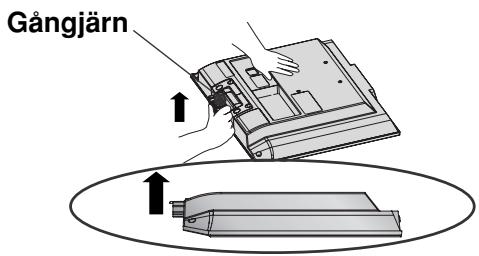 LG 325600 - MONTERA FOTEN - 2