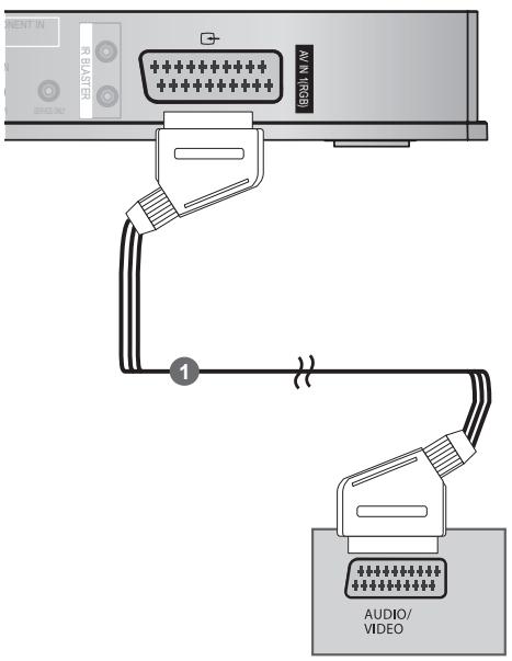 LG AN-WL100E - CONNECTING WITH A EURO SCART CABLE - 1