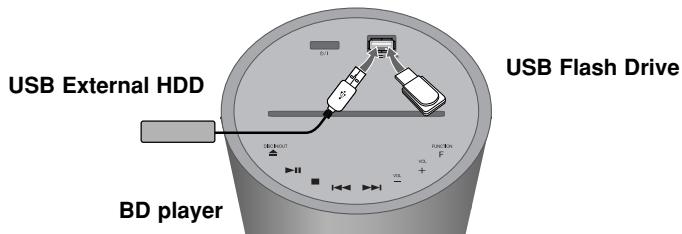 LG HB994PK - Inserting/Removing the USB device - 1