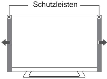 LG 42LM760S - VORSICHT - 4