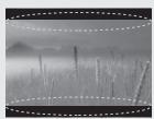 LG 50PM4700 - ATTENTIE - 28