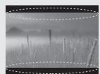 LG 50PM4700 - FIGYELEM - 27