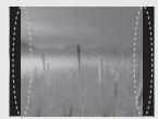 LG 50PM4700 - PRZESTROGA - 25