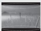 LG 50PM4700 - DÈMESIO - 27