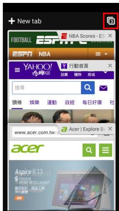ACER Z520 - Using the browser - 2