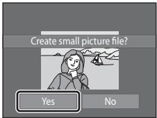NIKON COOLPIX S1100PJ - Small Picture: Making Smaller Pictures - 4