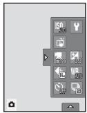 NIKON COOLPIX S1100PJ - Monitor Display in Portrait ("Tall") Orientation - 3