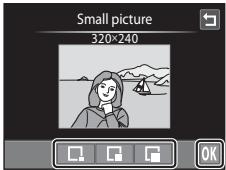 NIKON COOLPIX S1100PJ - Small Picture: Making Smaller Pictures - 3