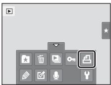 NIKON COOLPIX S1100PJ - Creating a Print Order for One Picture - 2