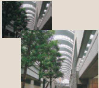 NIKON COOLPIX S4 LITE - D-Lighting - 1