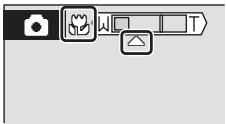 User interface toolbar with camera, flower, and window control icons