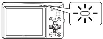 NIKON COOLPIX S560 - The Flash Lamp - 1