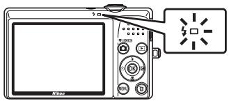 NIKON COOLPIX S570 - The Flash Lamp - 1