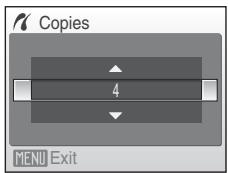 NIKON COOLPIX S600 - Printing Pictures One at a Time - 3