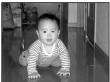 NIKON COOLPIX S600 - Active child - 1
