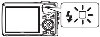 NIKON COOLPIX S630 - The Flash Lamp - 1