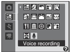 Voice recording