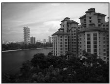 NIKON COOLPIX S630 - Landscape - 1