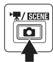 / SCENE