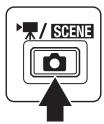 / SCENE