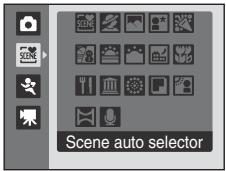 Scene auto selector