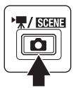 / SCENE