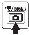 / SCENE
