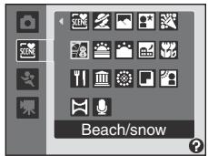 Beach/snow