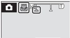 Camera icon set with camera, plant, lamp, and control panel symbols