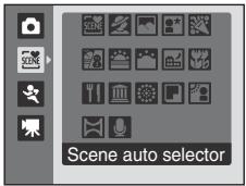 Scene auto selector