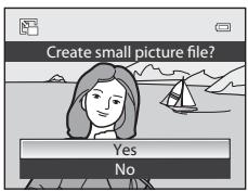 Create small picture file? Yes No