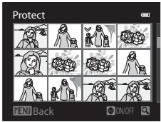 Protect NEW Back ON/OFF