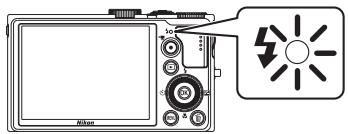 10Ω Nikon