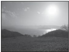 NIKON COOLPIX P300 - Backlighting - 2