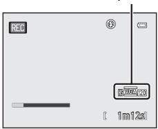 REC R: 1m/12s R: 100/20