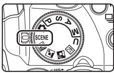 NIKON COOLPIX P500 - Taking Pictures with Easy Panorama - 1