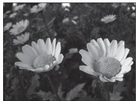 NIKON COOLPIX P500 - Aperture Value - 3