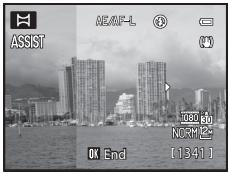 NIKON COOLPIX P500 - Shoot the next picture. - 2