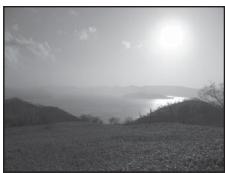 NIKON COOLPIX P500 - Backlighting - 2