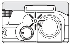 NIKON COOLPIX P7000 - Flash Lamp - 1