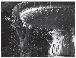 NIKON COOLPIX P7000 - Adjusting the Shutter Speed - 1