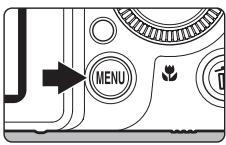 NIKON COOLPIX P7000 - D-Lighting: Enhancing Brightness and Contrast - 1