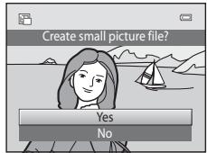 NIKON COOLPIX S3100 - Small Picture: Reducing Image Size - 4