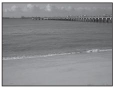 NIKON COOLPIX S3100 - Beach - 1