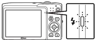 NIKON COOLPIX S3100 - The Flash Lamp - 1